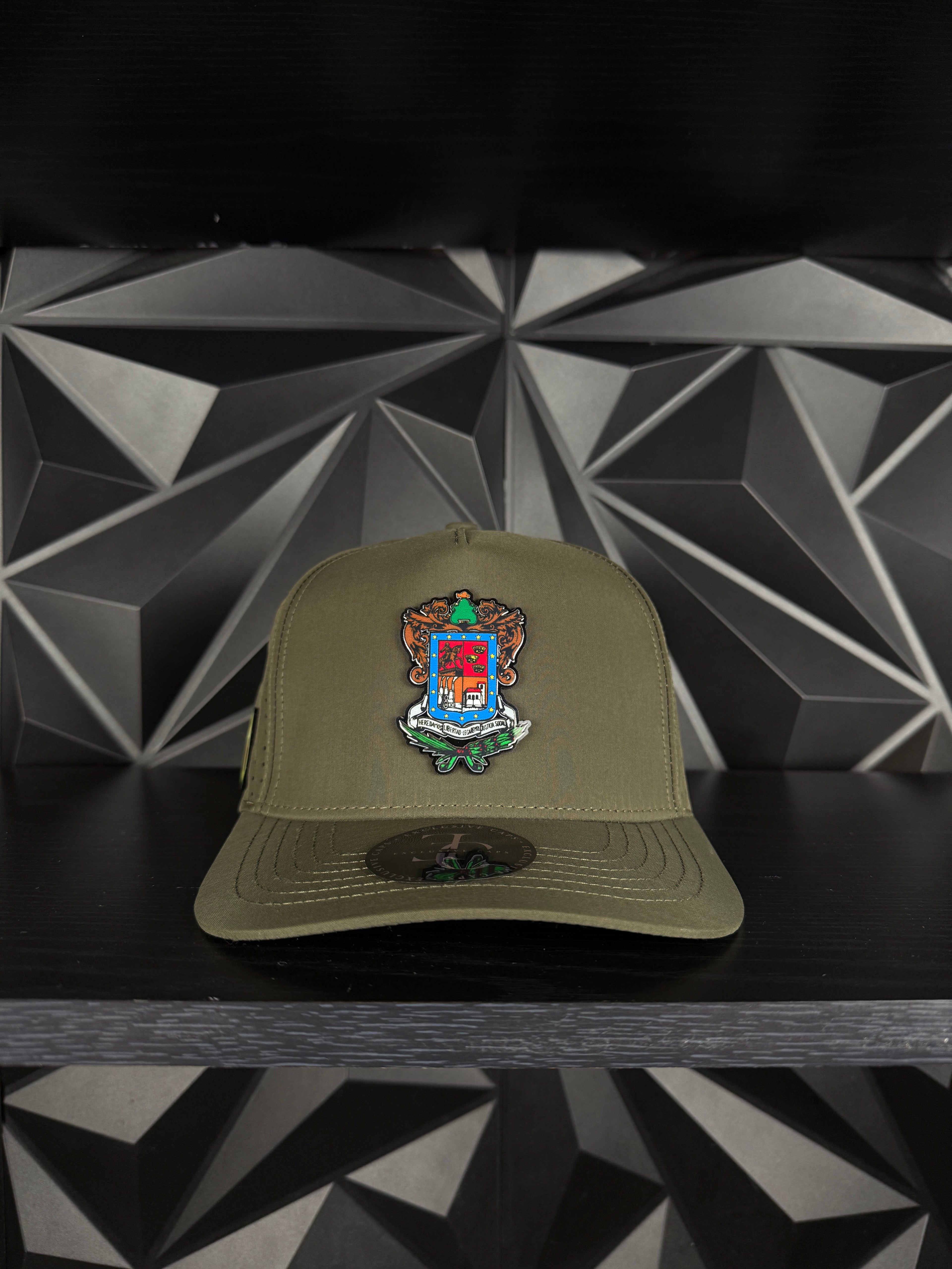 Exclusive caps escudo de Michoacán SnapBack hat-Olive green Hydro