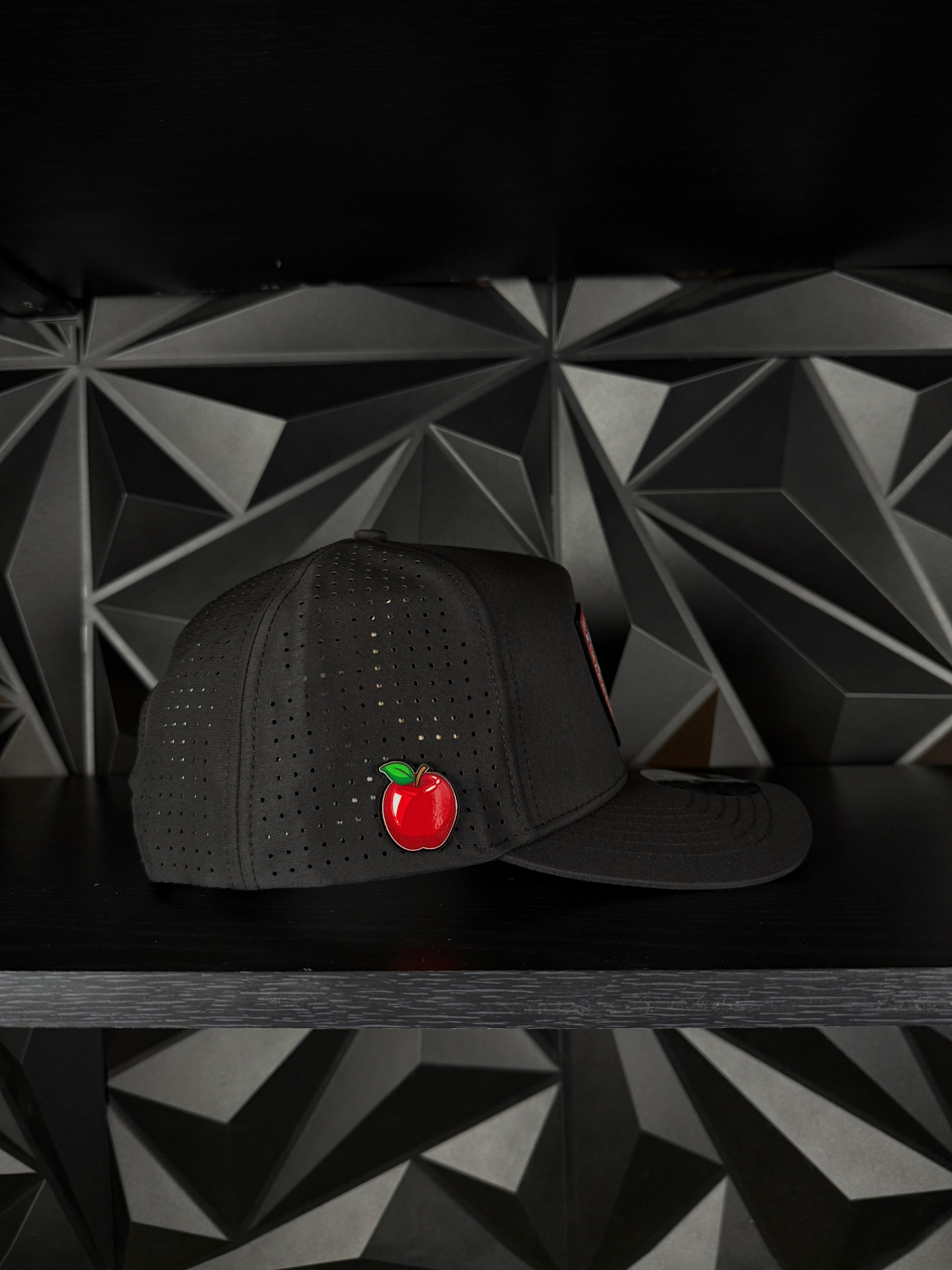 Exclusive caps Escudo de chihuahua SnapBack hat-Black Hydro