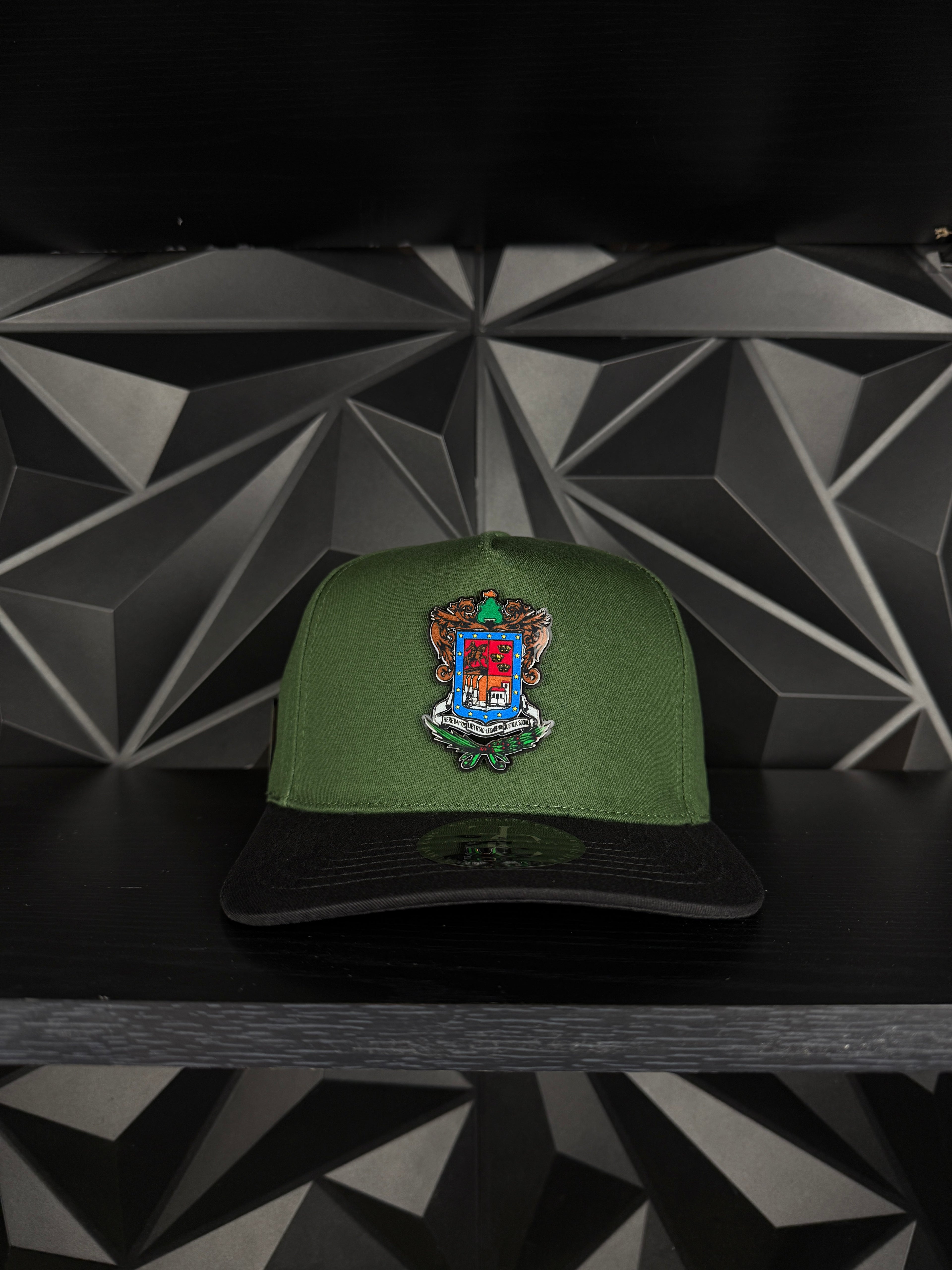 Exclusive caps escudo de Michoacán SnapBack hat-Green/black Cotton