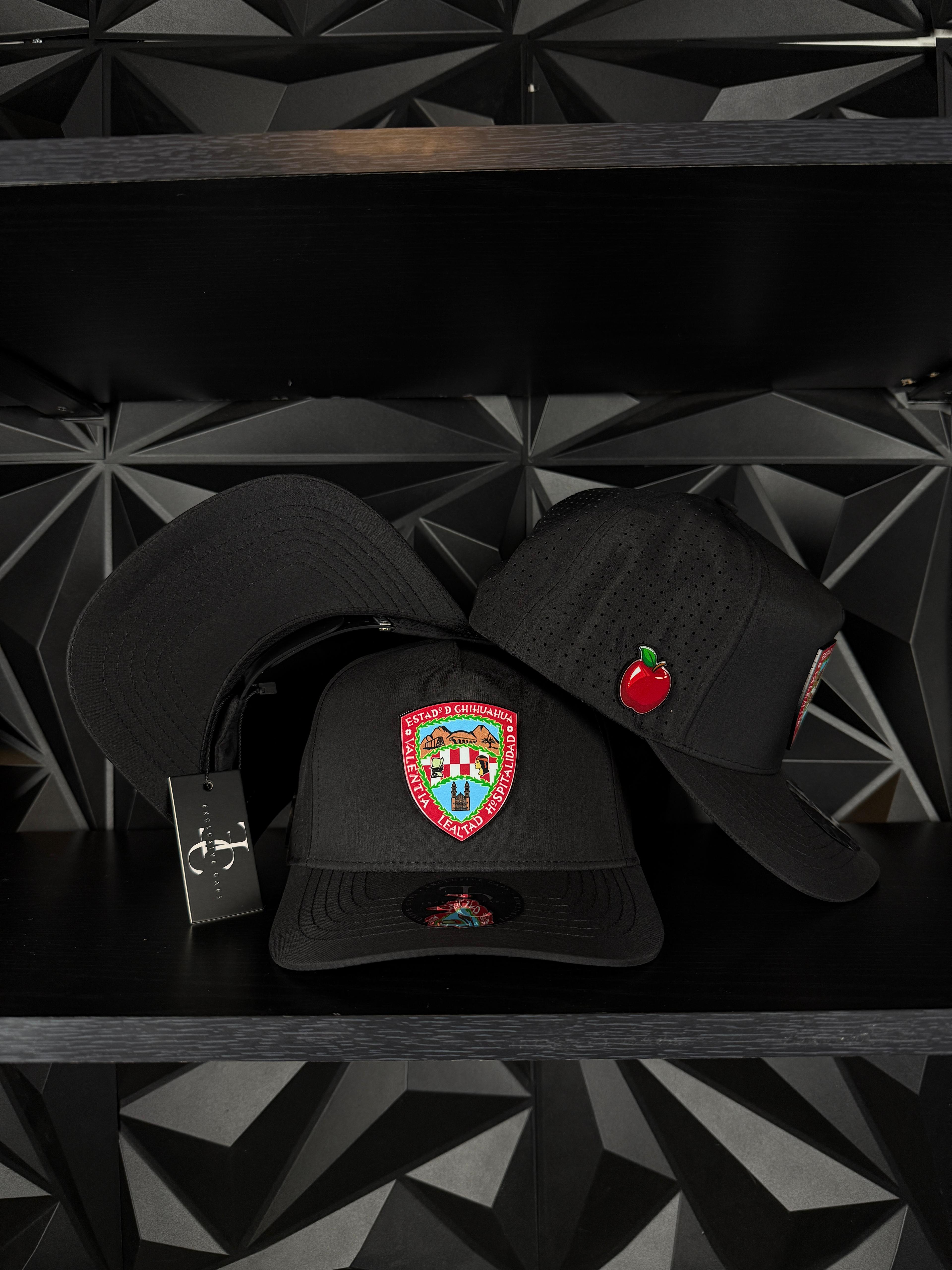 Exclusive caps Escudo de chihuahua SnapBack hat-Black Hydro