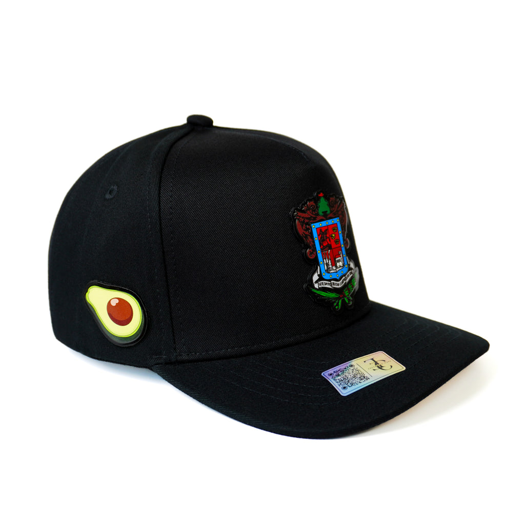 Escudo de Michoacán Snapback —