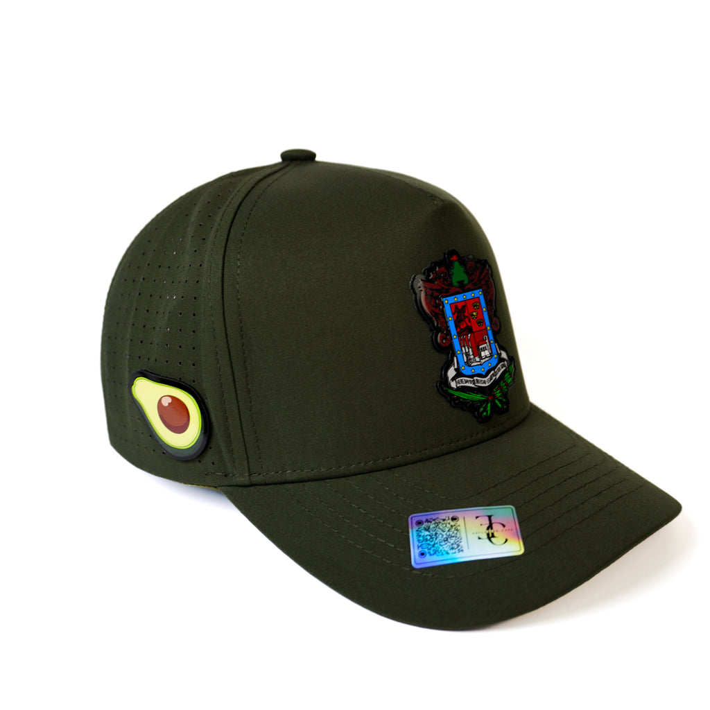 Escudo de Michoacán Snapback —