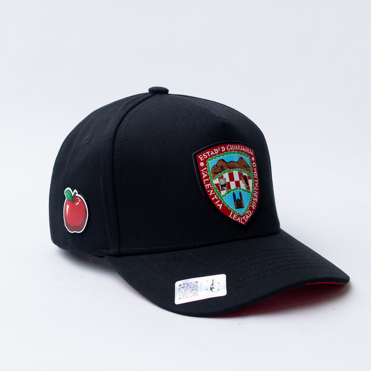 Escudo de Chihuahua Snapback Hat
