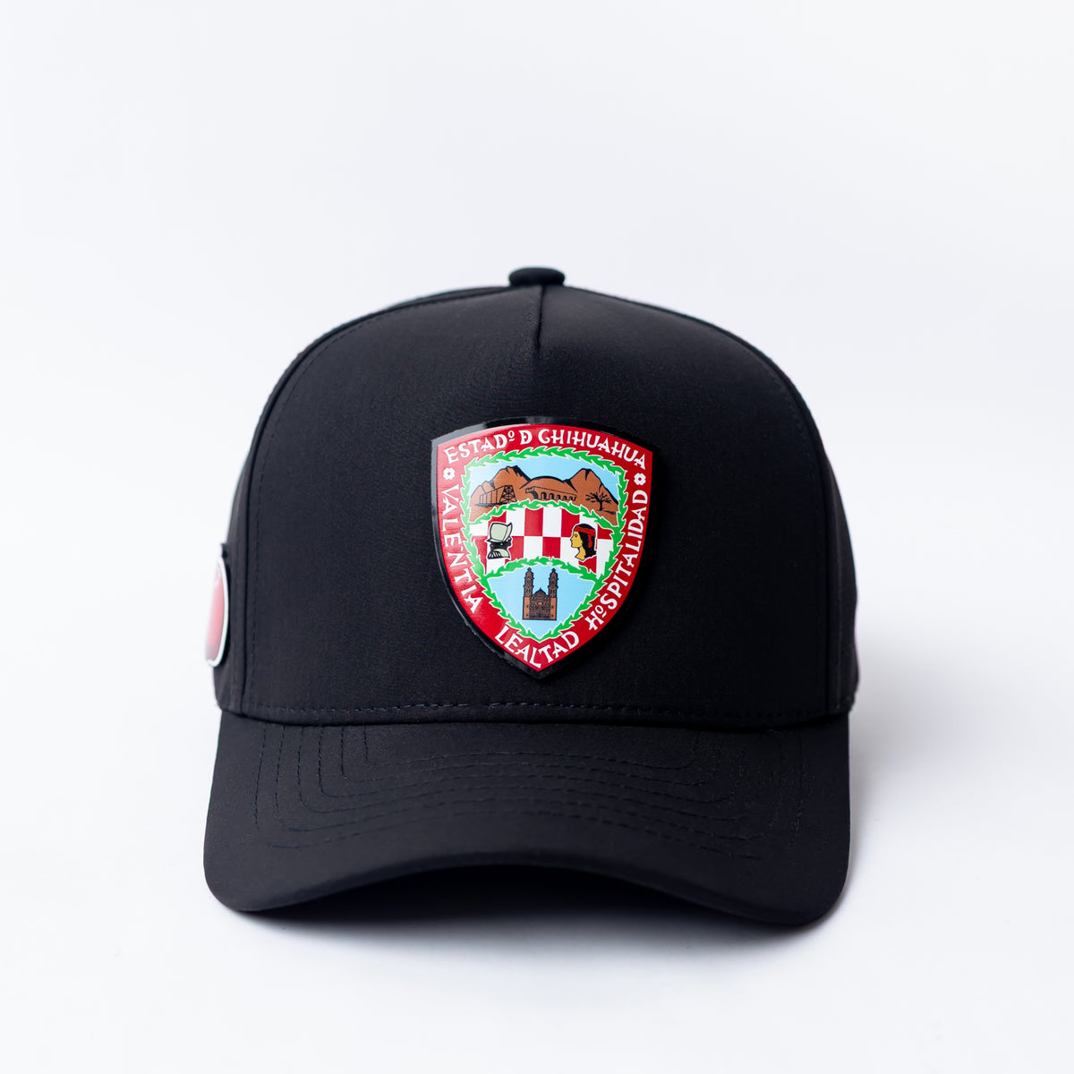 Escudo de Chihuahua Snapback Hat