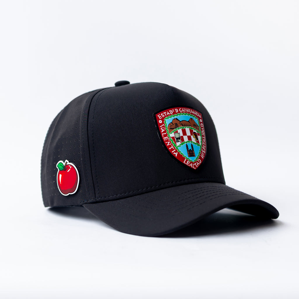 Escudo de Chihuahua Snapback Hat
